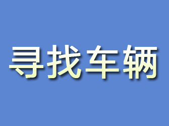 临安寻找车辆