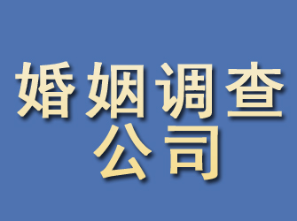 临安婚姻调查公司