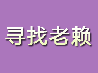 临安寻找老赖